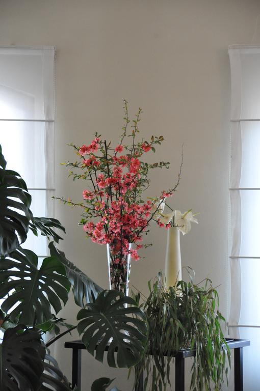 בינאסקו Albergo Della Corona מראה חיצוני תמונה